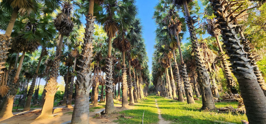 phetchaburi